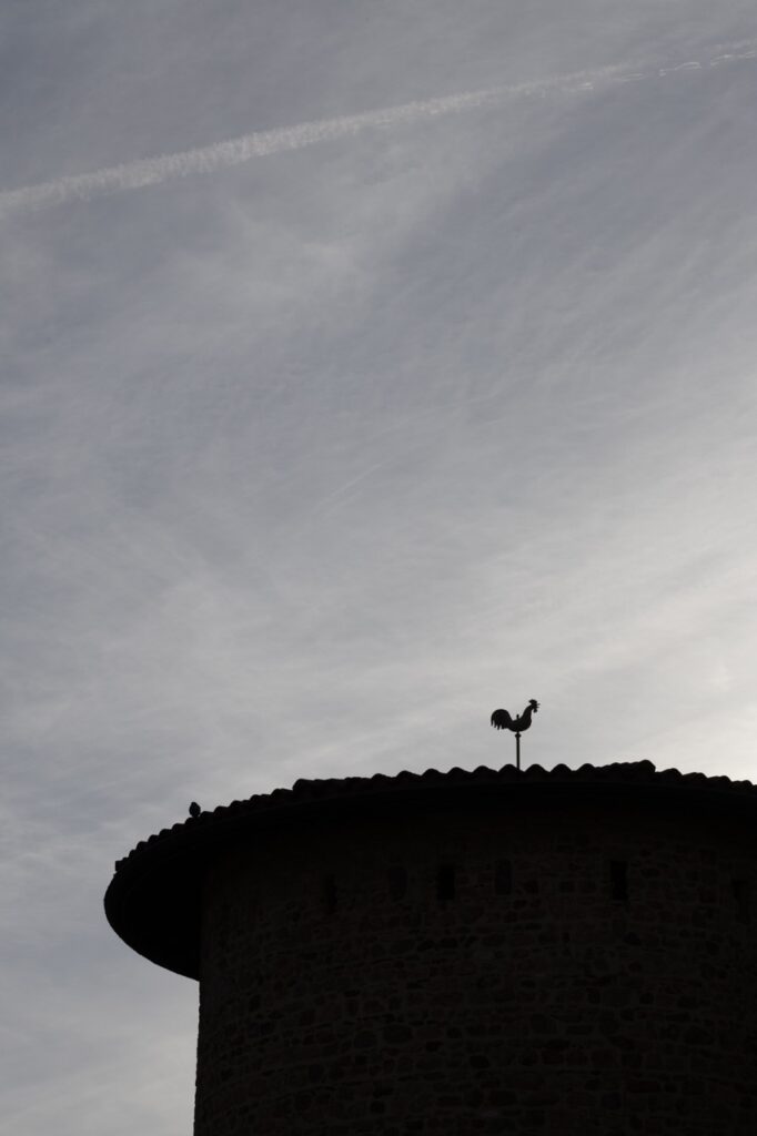 brindas-photographe-famille-lyon-monts-du-lyonnais