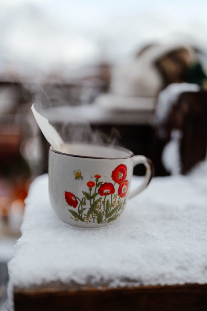 ceremonie-hiver-mariage-photographe-montagne