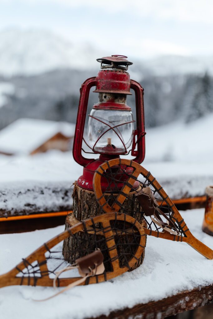 ceremonie-lyon-mariage-montagne-savoie-suisse-chalet